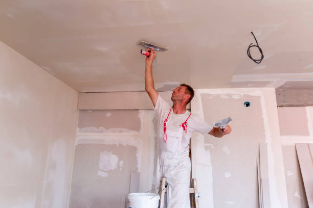 Best Water-Damaged Drywall Repair  in Stevenson, WA